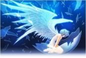 aik punem poze din dvs anime-uri - alyflory - poze