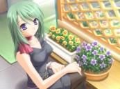 aik punem poze din dvs anime-uri - alyflory - poze