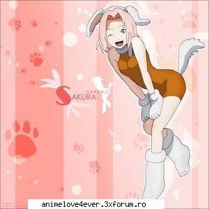 alta5 sakura