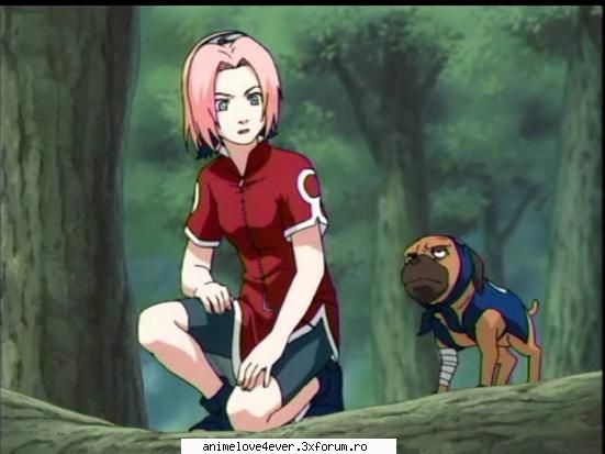 sakura - Yukina - naruto