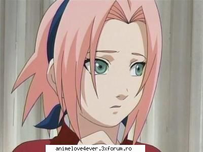 alta10 sakura