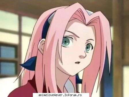 alta12 sakura