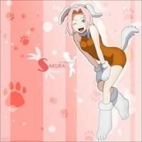 sakura - sacura catelusa - naruto